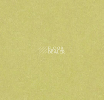 Линолеум Forbo Marmoleum Marbled Fresco 3885-388535 spring buds фото 1 | FLOORDEALER